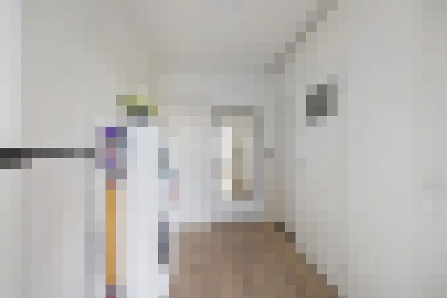 Plutolaan 146 Groningen thumbnail 29
