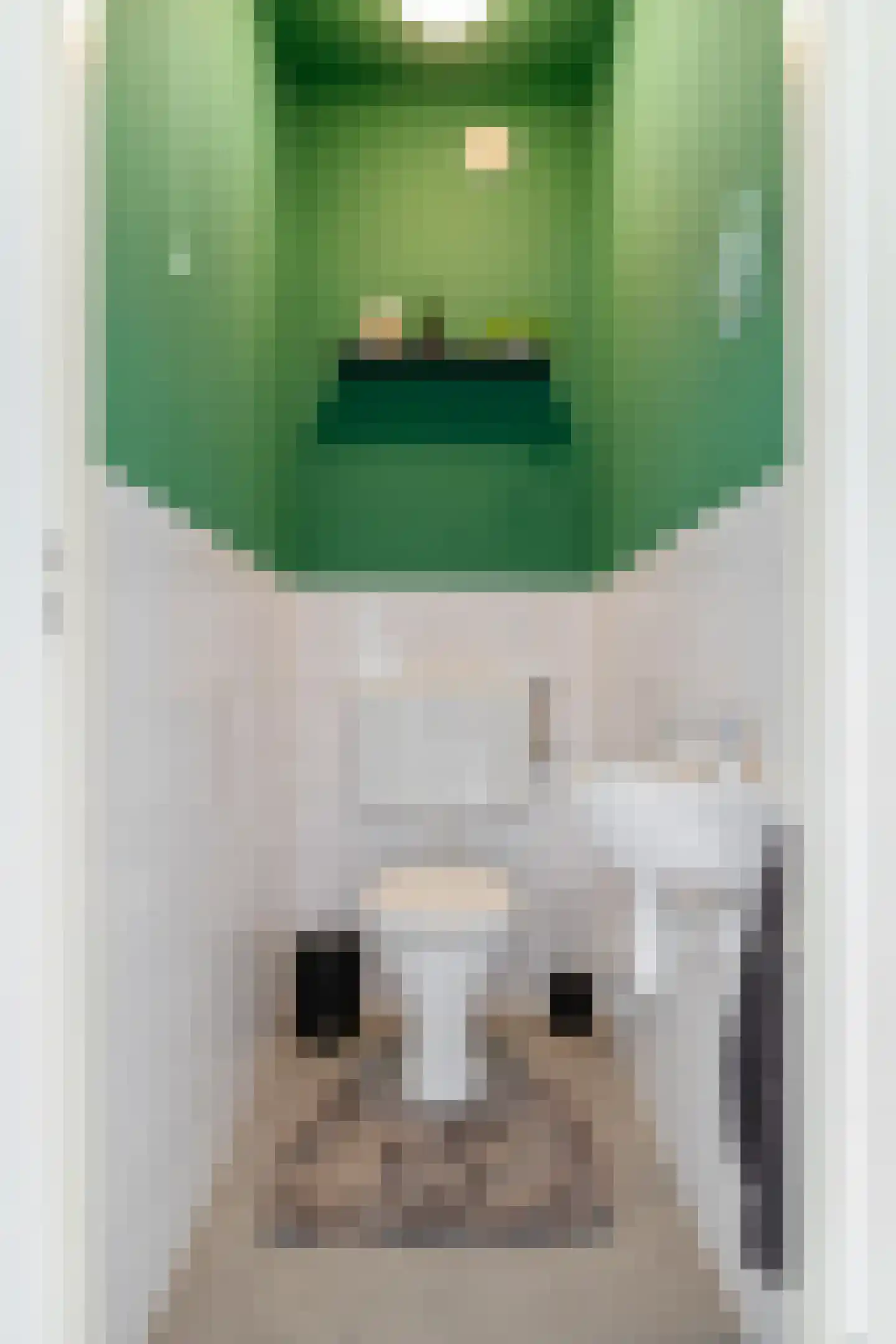 Plutolaan 146 Groningen thumbnail 41