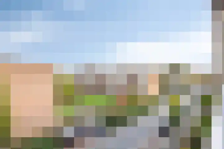 Plutolaan 148 Groningen thumbnail 18