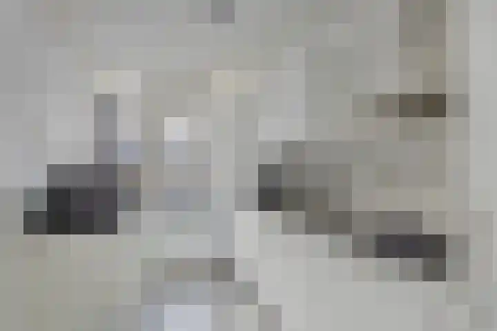 Plutolaan 148 Groningen thumbnail 22