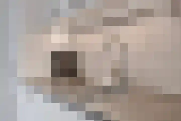 Plutolaan 148 Groningen thumbnail 24