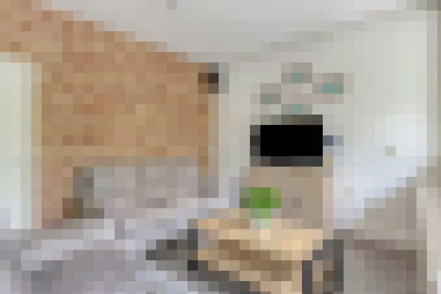Plutolaan 15 Heerhugowaard thumbnail 15