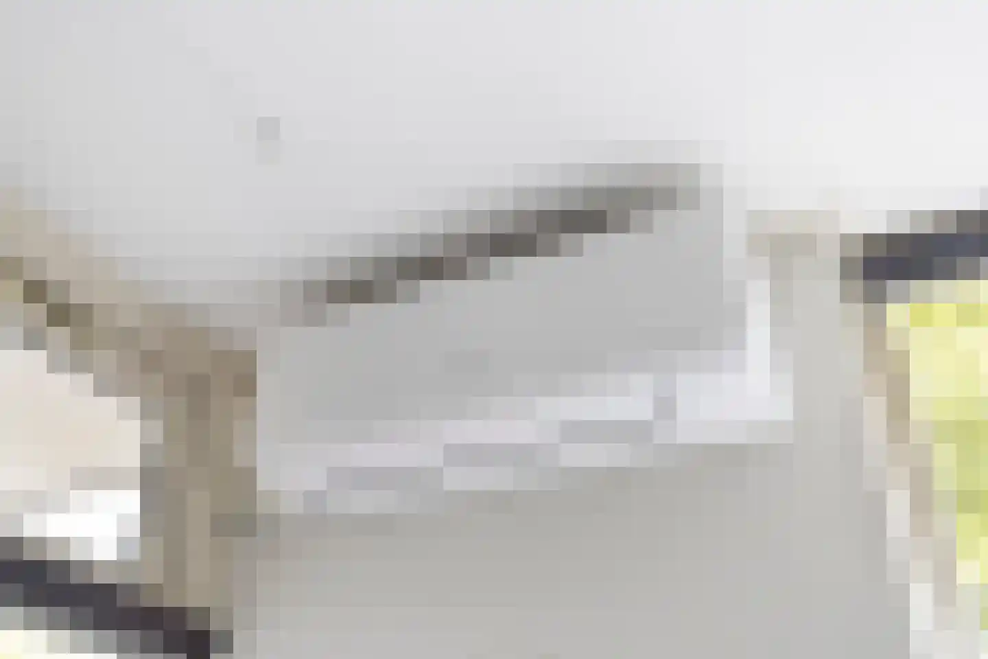 Plutolaan 15 Heerhugowaard thumbnail 22