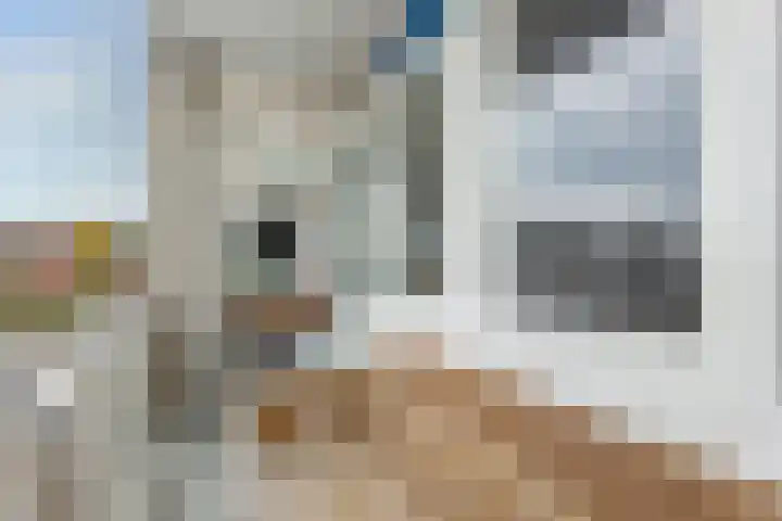 Plutolaan 168 Groningen thumbnail 11