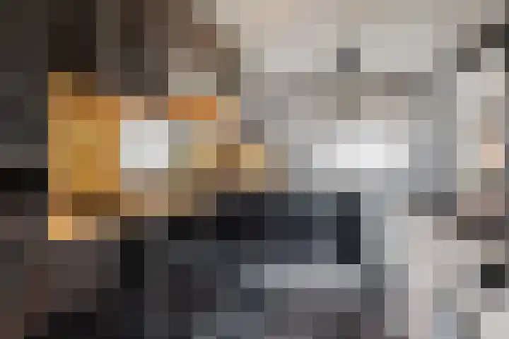 Plutolaan 168 Groningen thumbnail 13