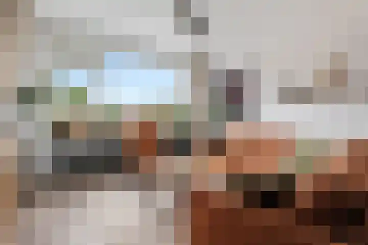 Plutolaan 168 Groningen thumbnail 8
