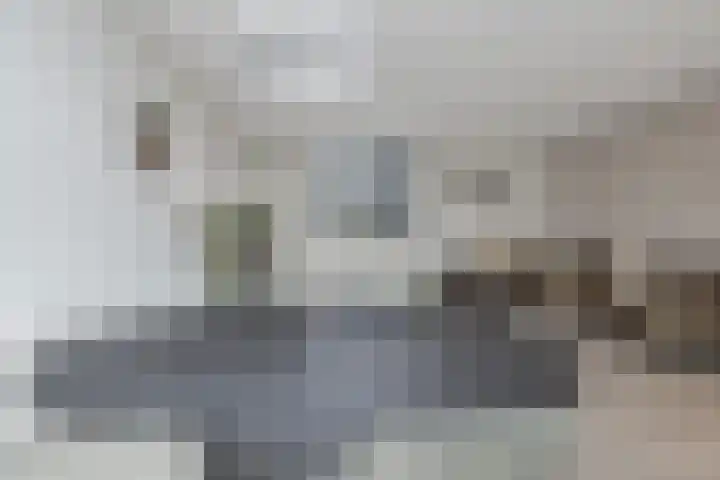Plutolaan 23 Heerhugowaard thumbnail 12