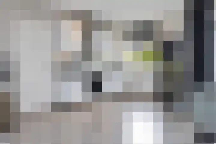 Plutolaan 23 Heerhugowaard thumbnail 15