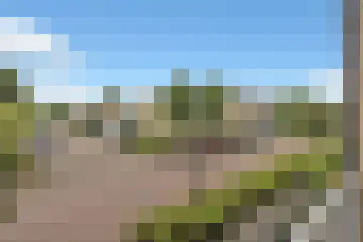 Plutolaan 23 Heerhugowaard thumbnail 42