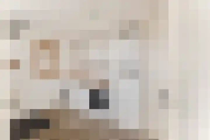 Plutolaan 28 Heerhugowaard thumbnail 18
