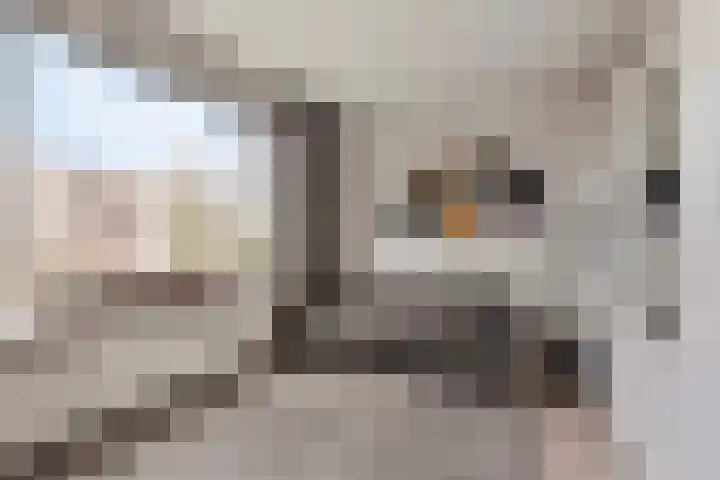 Plutolaan 337 Groningen thumbnail 16