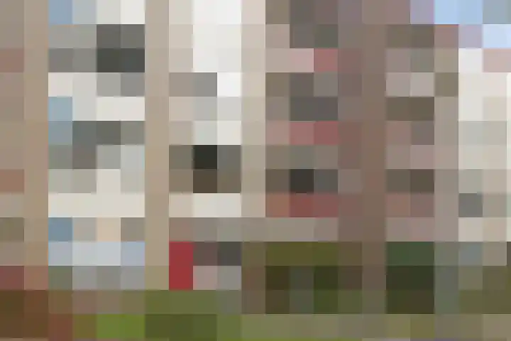 Plutolaan 337 Groningen thumbnail 4