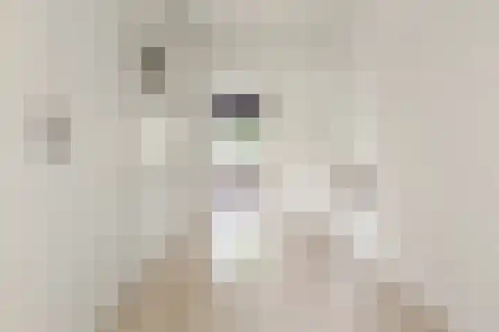 Plutolaan 341 Groningen thumbnail 13