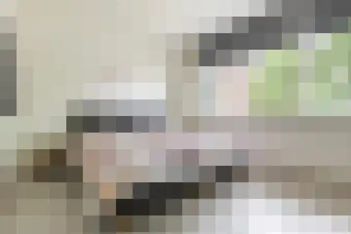 Plutolaan 341 Groningen thumbnail 14