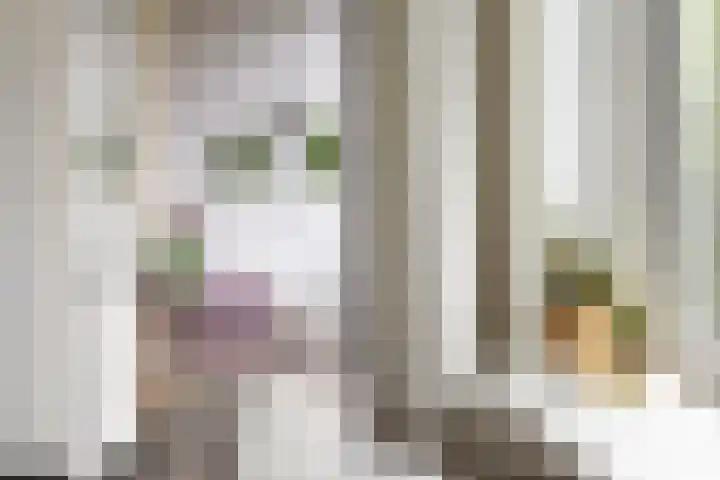 Plutolaan 341 Groningen thumbnail 18