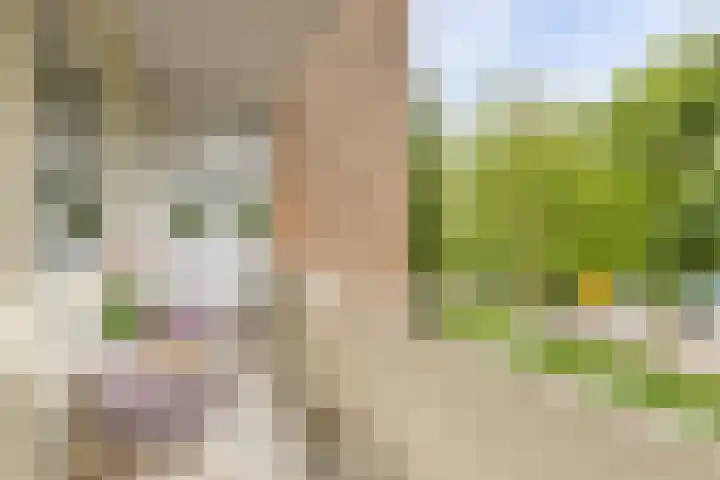 Plutolaan 341 Groningen thumbnail 19