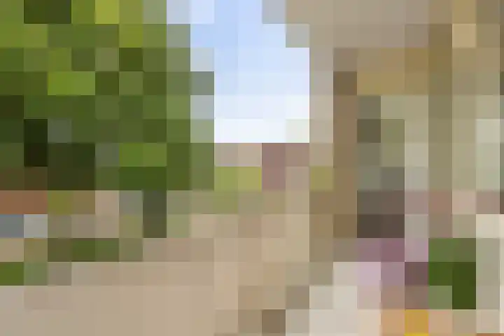 Plutolaan 341 Groningen thumbnail 20