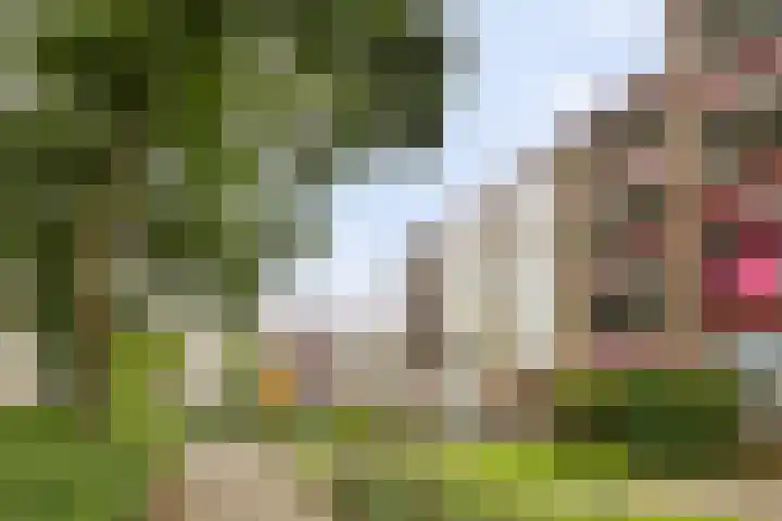 Plutolaan 341 Groningen thumbnail 22