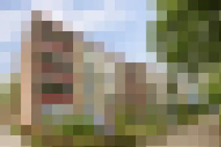Plutolaan 341 Groningen thumbnail 29