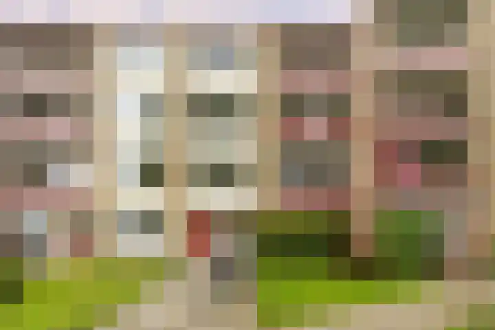 Plutolaan 341 Groningen thumbnail 4