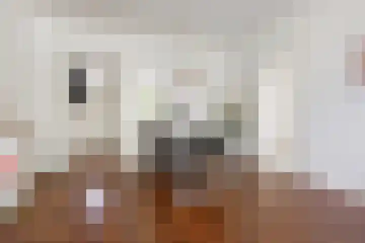 Plutolaan 341 Groningen thumbnail 9