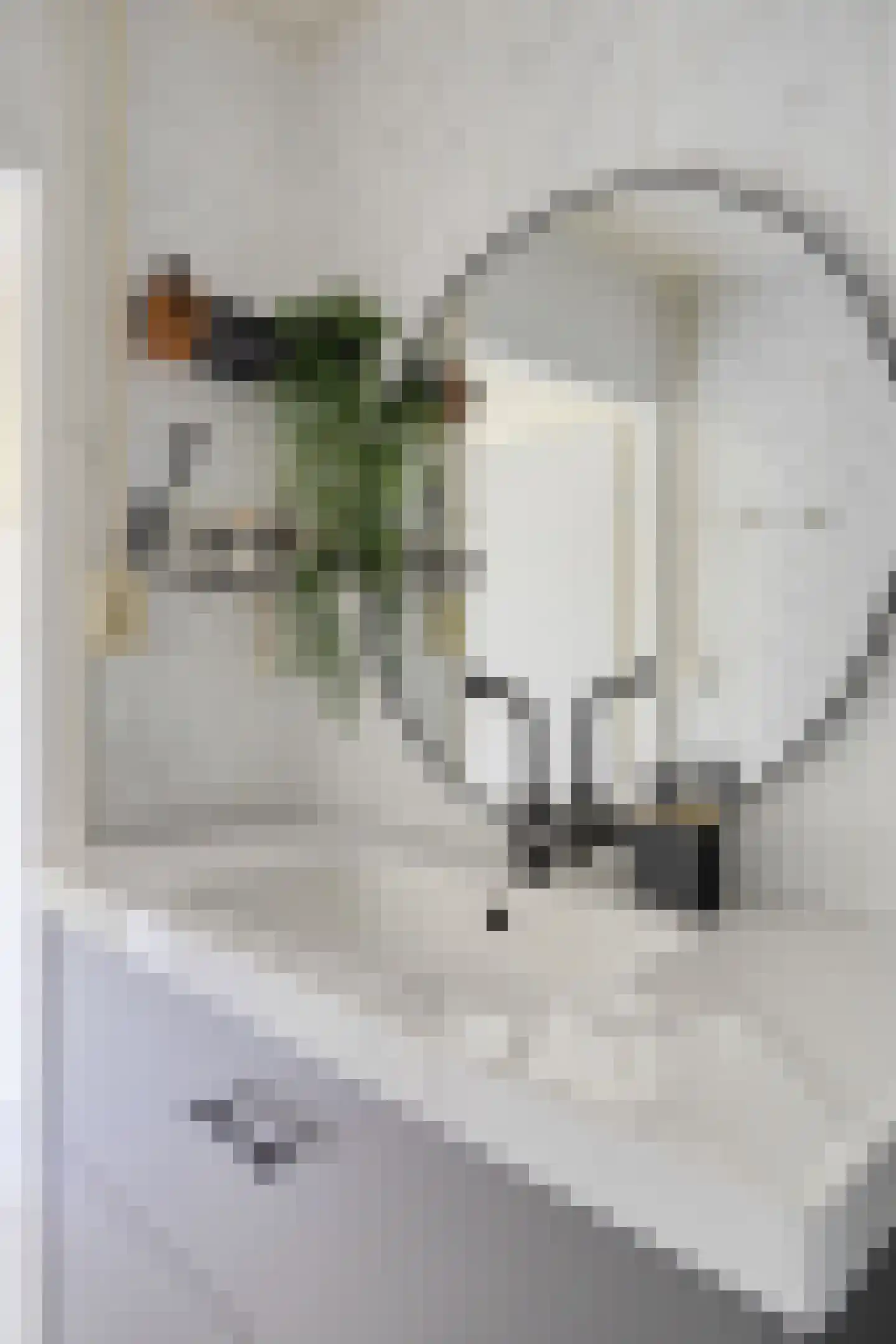 Plutolaan 367 Groningen thumbnail 30