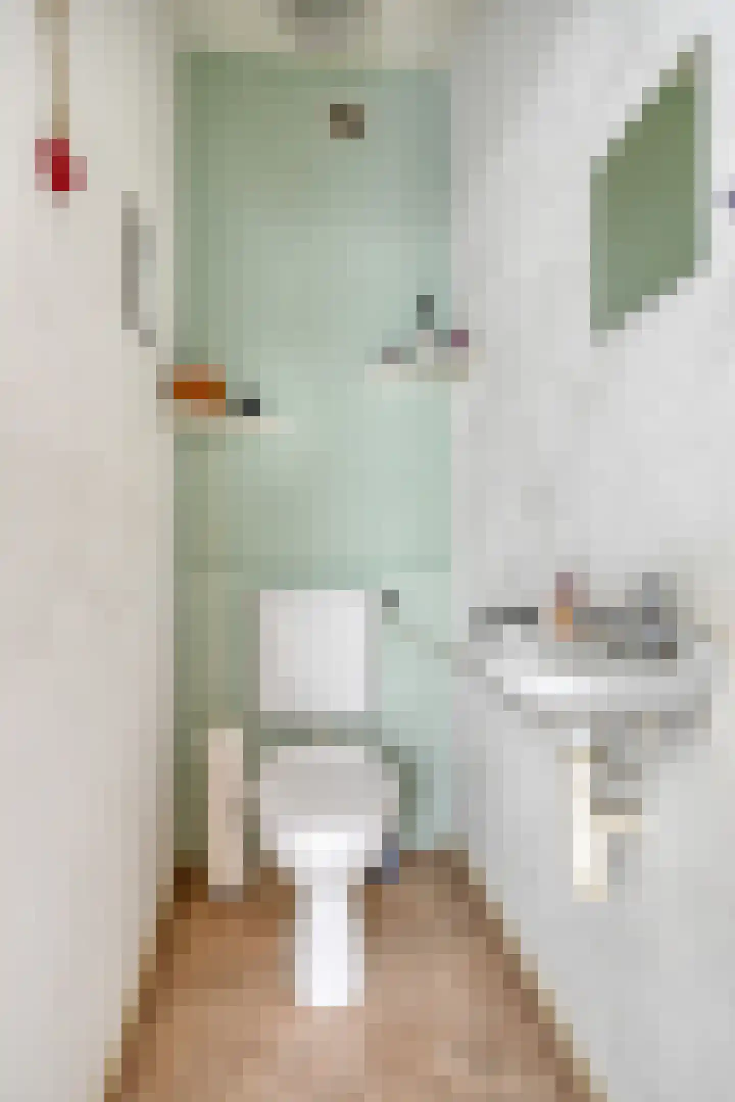 Plutolaan 367 Groningen thumbnail 32