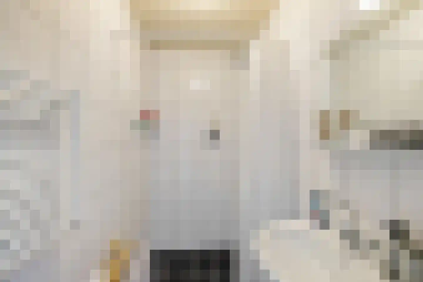 Plutolaan 413 Groningen thumbnail 17