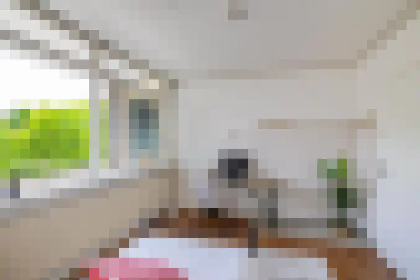 Plutolaan 413 Groningen thumbnail 21