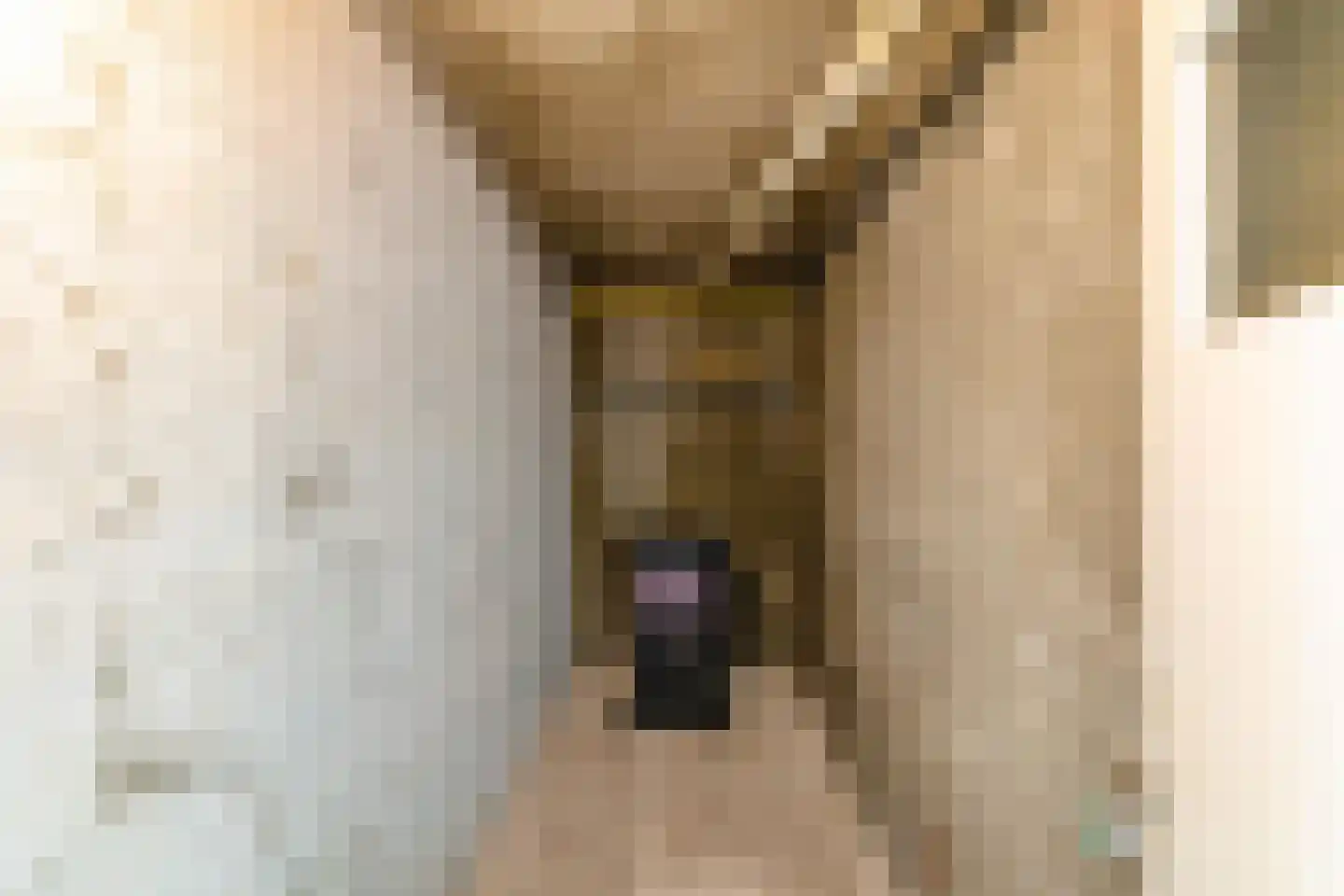 Plutolaan 413 Groningen thumbnail 26