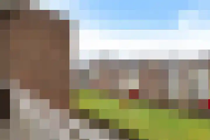 Plutolaan 511 Groningen thumbnail 22