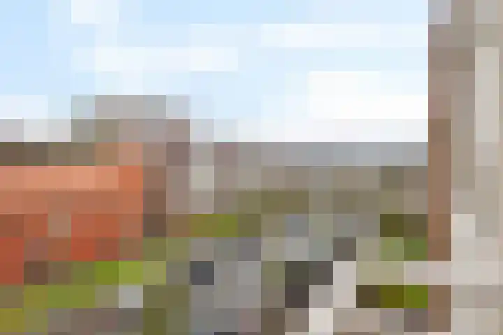 Plutolaan 511 Groningen thumbnail 28