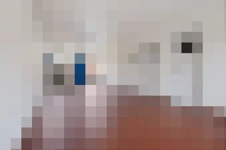 Plutolaan 511 Groningen thumbnail 41
