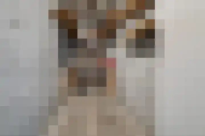 Plutolaan 511 Groningen thumbnail 42