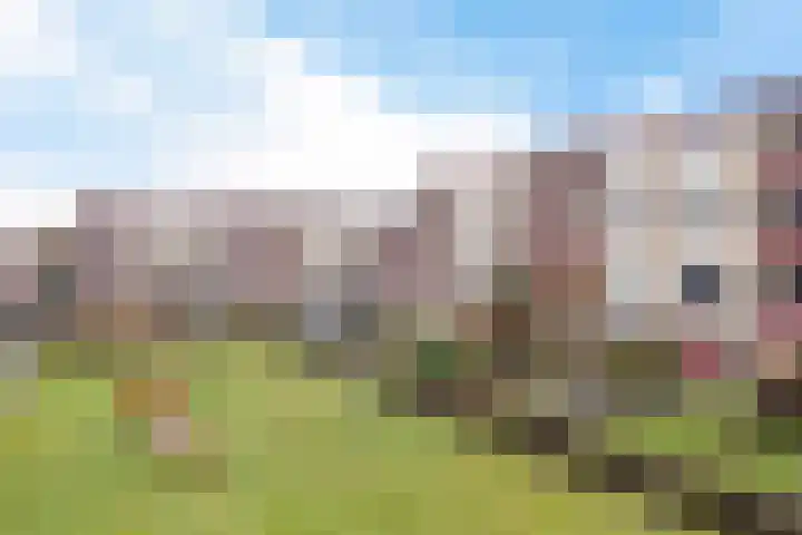 Plutolaan 511 Groningen thumbnail 43