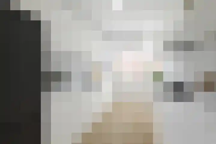 Plutolaan 513 Groningen thumbnail 10