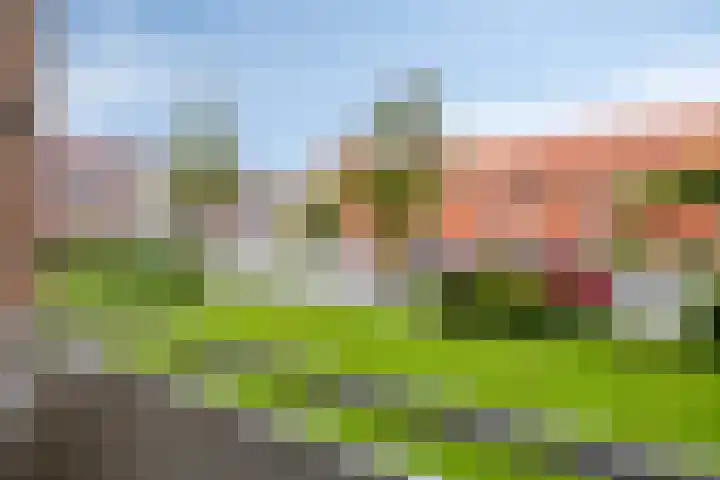 Plutolaan 513 Groningen thumbnail 14