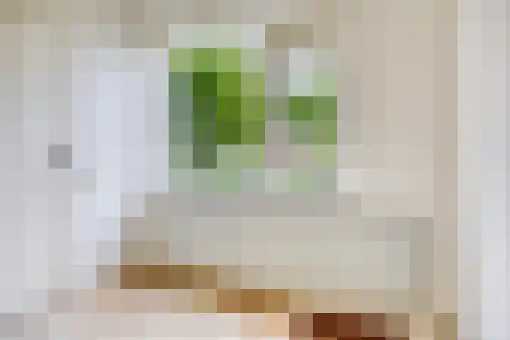Plutolaan 513 Groningen thumbnail 18
