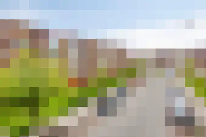 Plutolaan 513 Groningen thumbnail 21