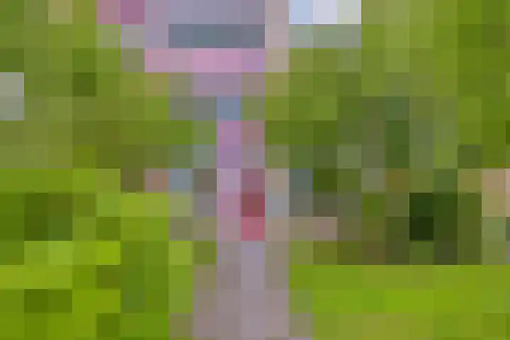 Plutolaan 513 Groningen thumbnail 23