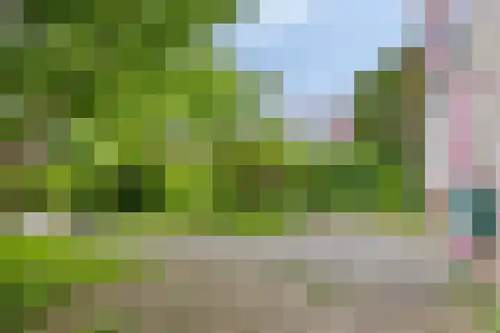 Plutolaan 513 Groningen thumbnail 25