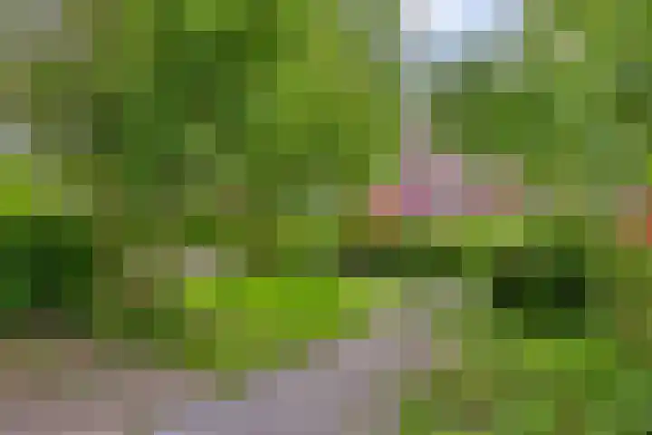 Plutolaan 513 Groningen thumbnail 26