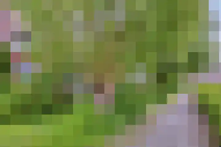 Plutolaan 513 Groningen thumbnail 27