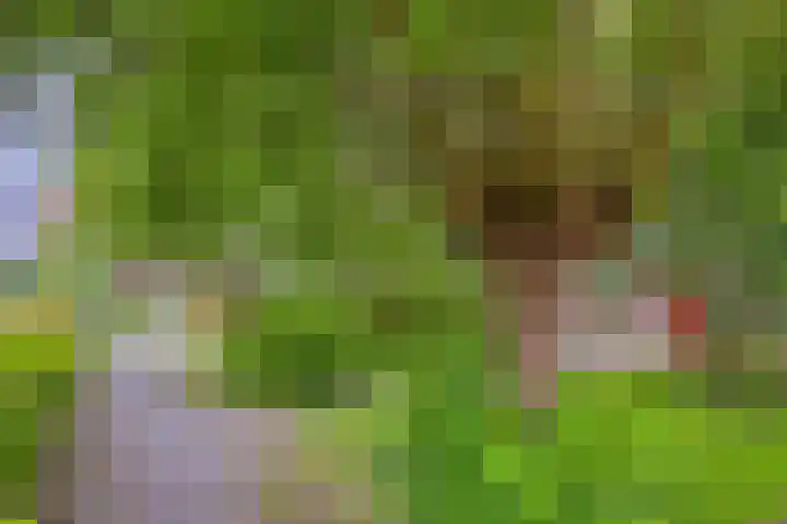 Plutolaan 513 Groningen thumbnail 28