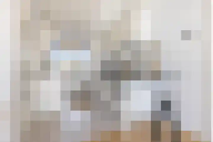 Plutolaan 525 Groningen thumbnail 18