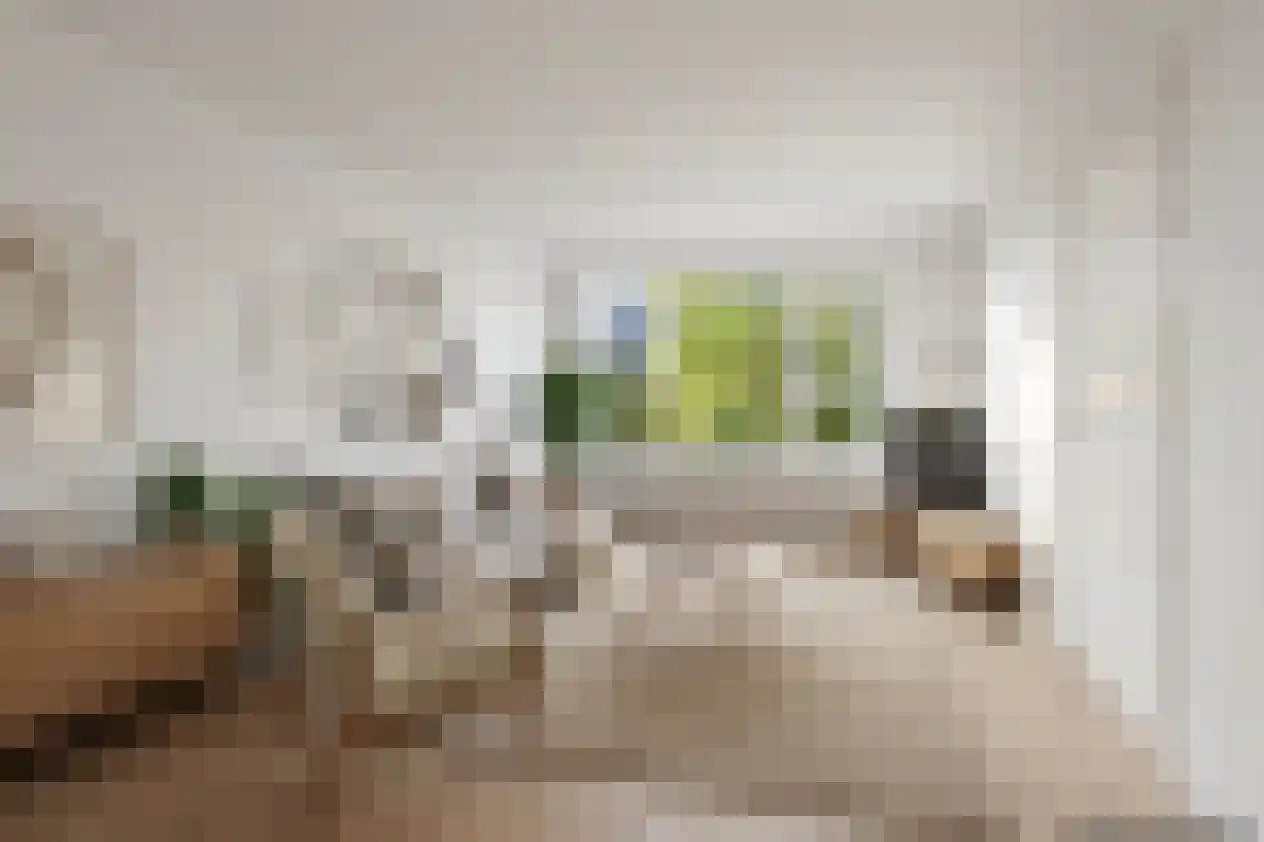 Plutolaan 527 Groningen thumbnail 11