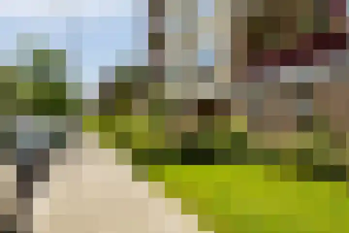Plutolaan 70 Groningen thumbnail 10