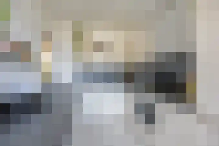 Plutolaan 70 Groningen thumbnail 18