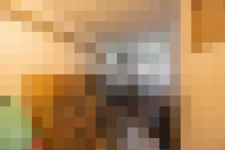 Plutolaan 70 Groningen thumbnail 39