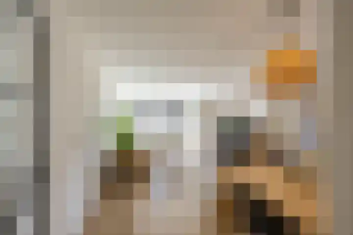 Plutolaan 70 Groningen thumbnail 42
